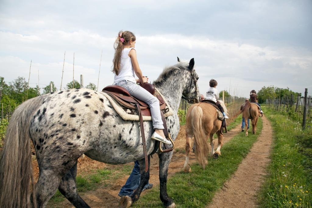 Вилла Cascina Papa Mora Cellarengo Экстерьер фото